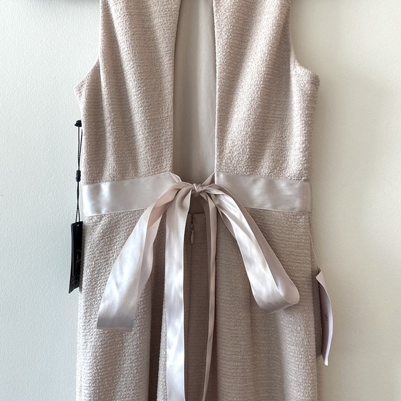 BHLDN Adrianna Papell Idris Dress in Champagne - Picture 16 of 16